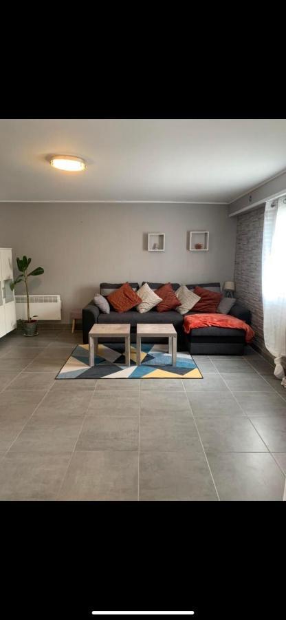 Convivialetzen Apartamento Chatenoy-le-Royal Exterior foto